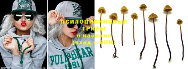 бутират Баксан