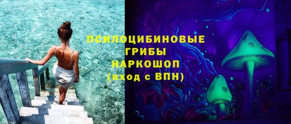 PSILOCYBIN Балахна