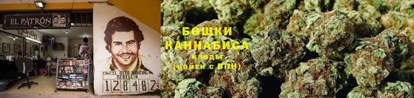 PSILOCYBIN Балахна
